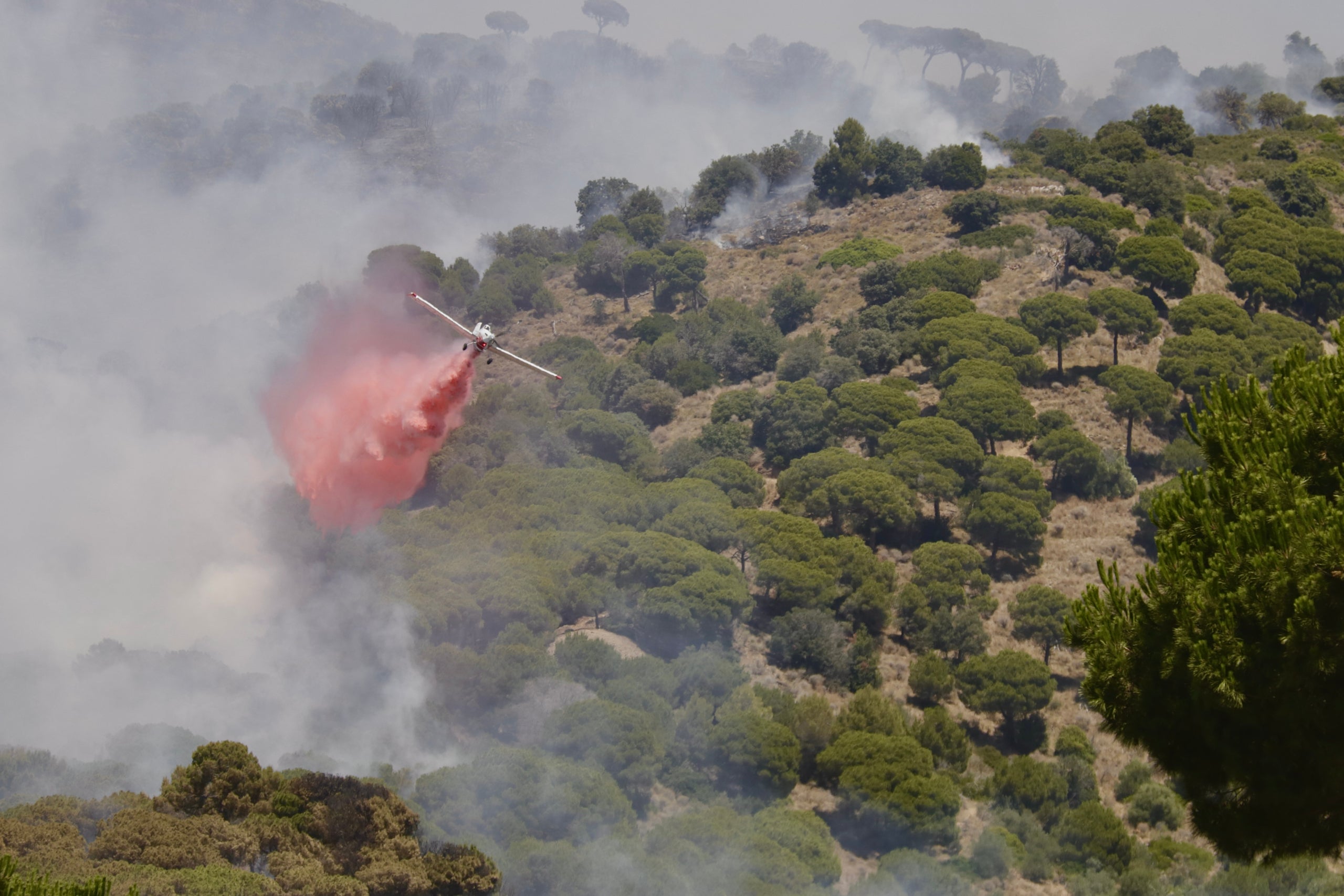 Un avió descarrega aigua a l'incendi entre Tiana i Martorelles / ACN
