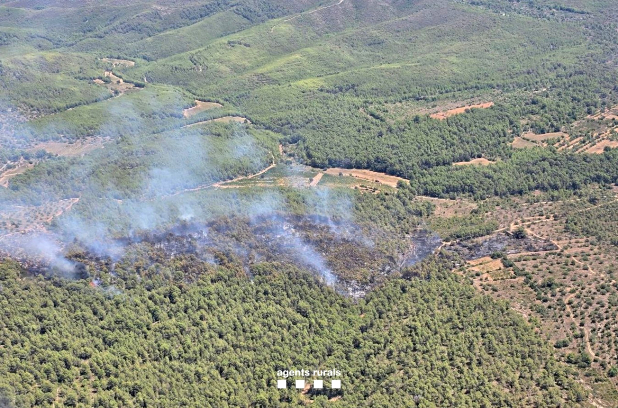 Imatge aèria de la zona afectada per l'incendi forestal de Masllorenç | cedida a ACN / Agents Rurals
