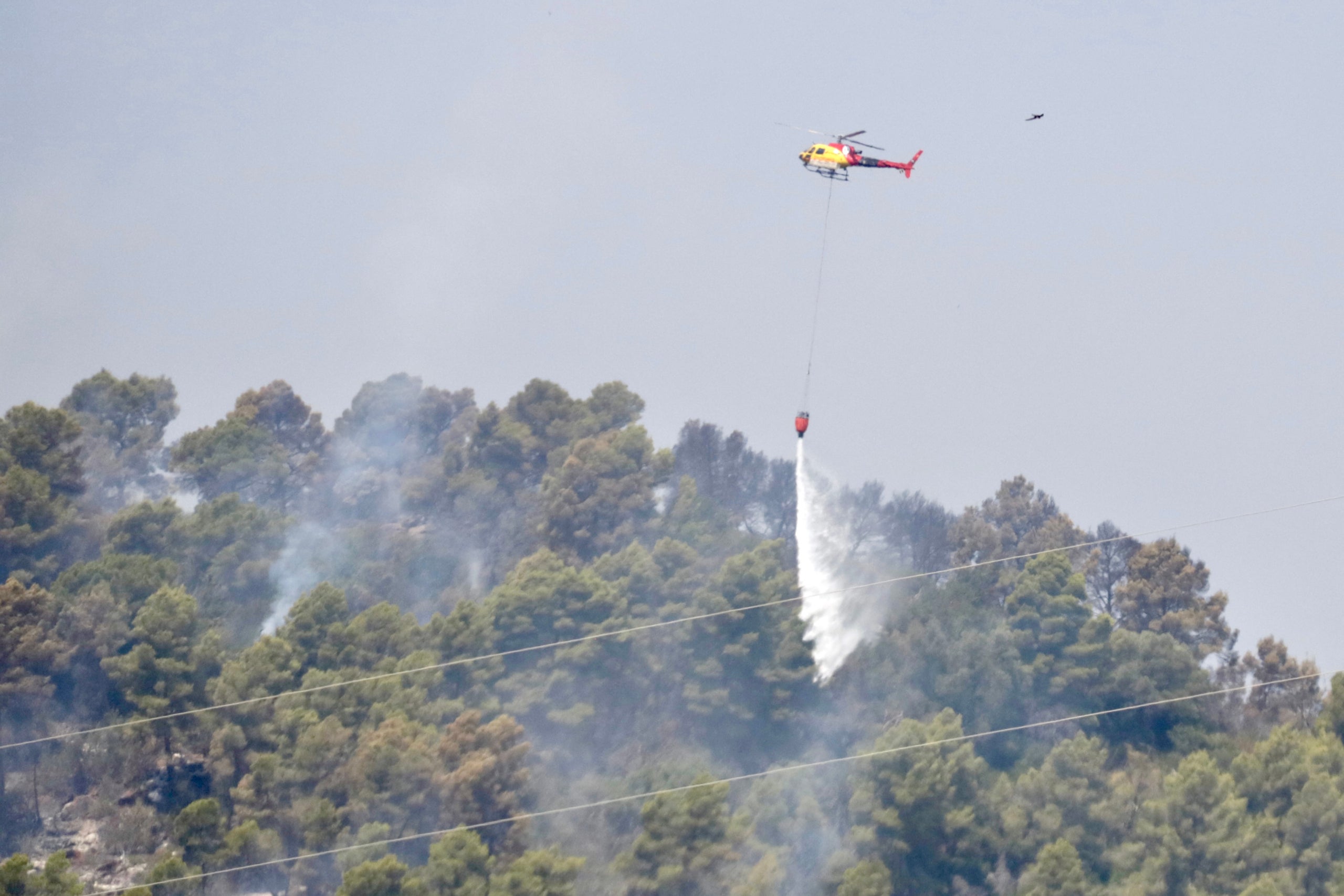 Un helicòpter fent una descàrrega d'aigua a la zona de l'incendi de Sentmenat / ACN