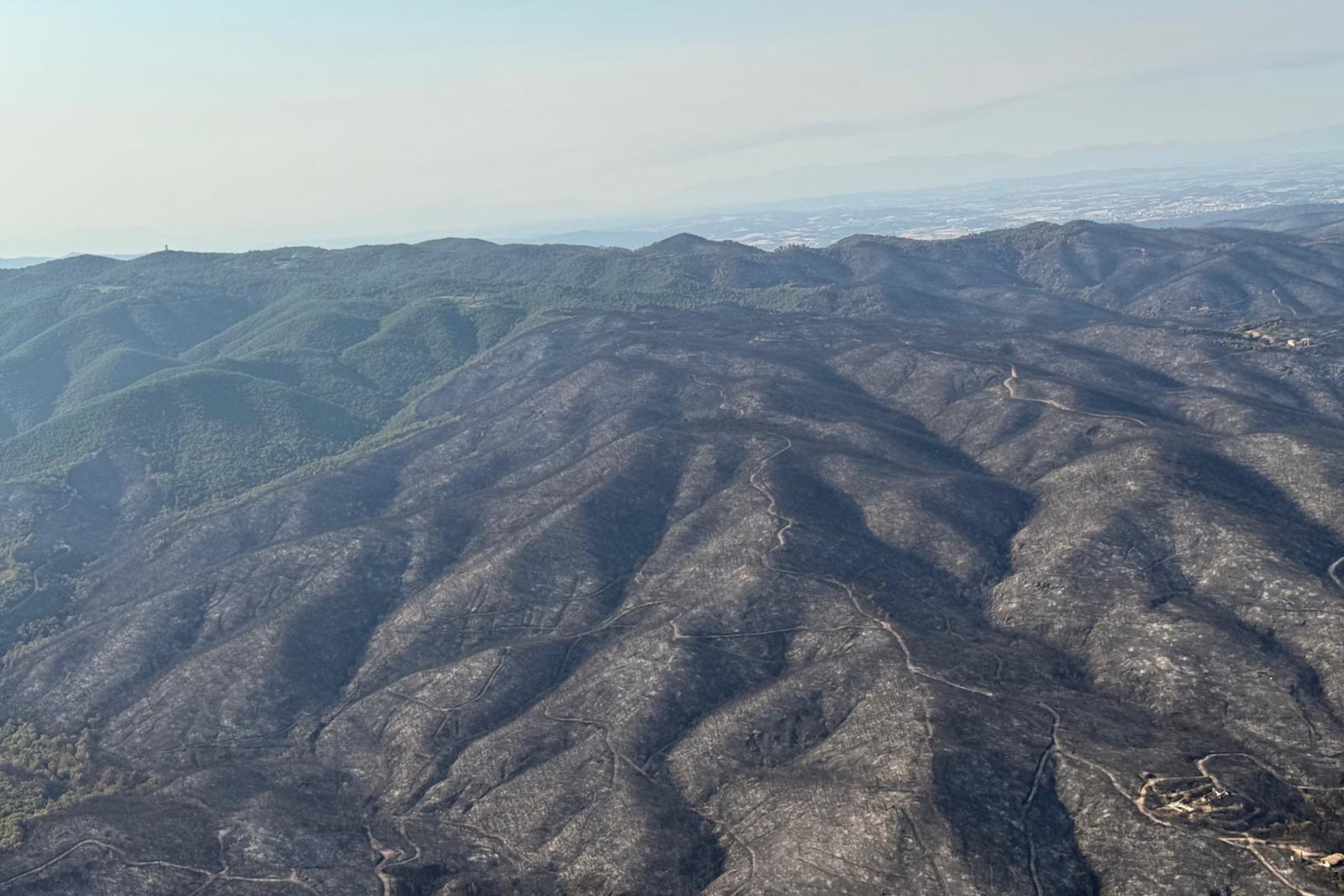 Imatge aèria de la zona de l'incendi de la Bisbal | Gerard Vilà (ACN)