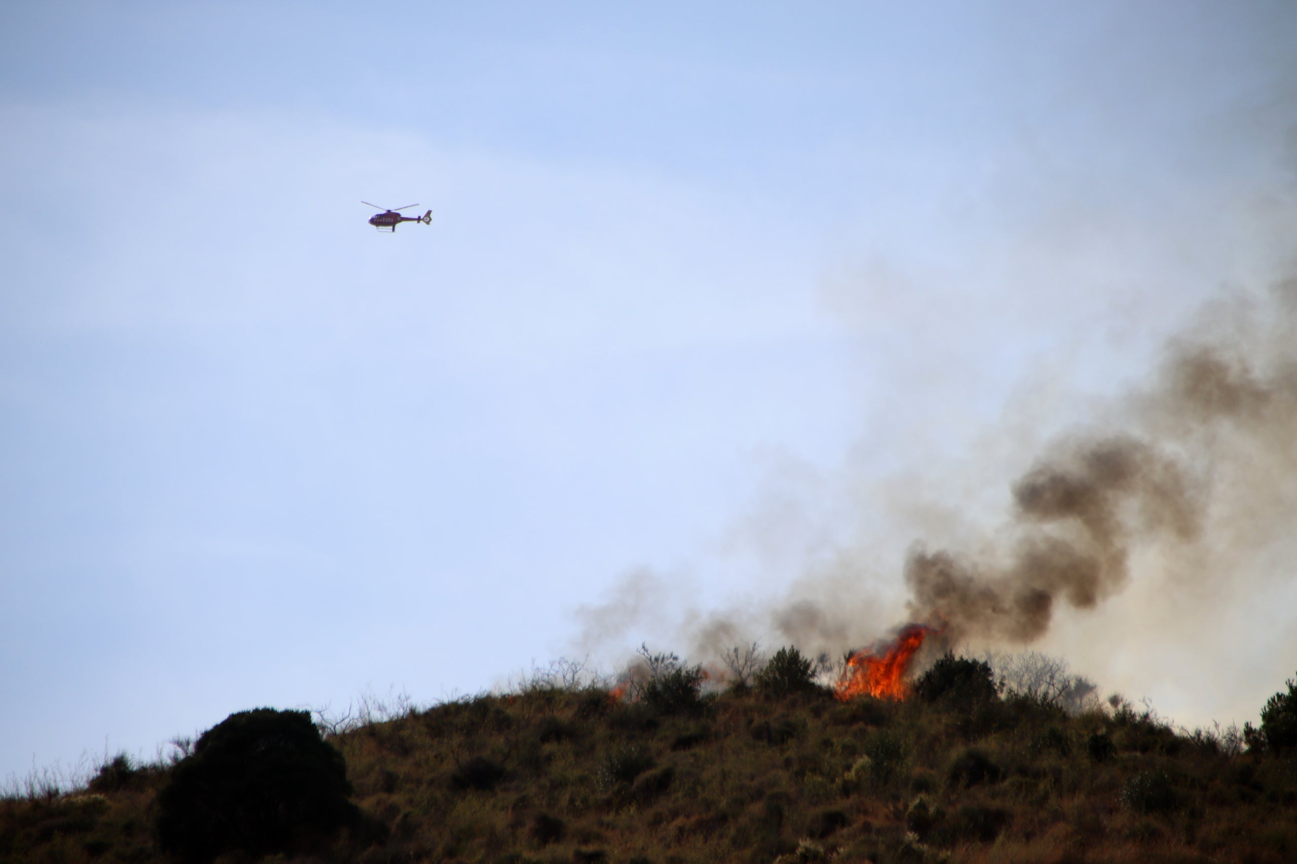 Bombers treballen en un incendi a Collserola / Blanca Blay (ACN)