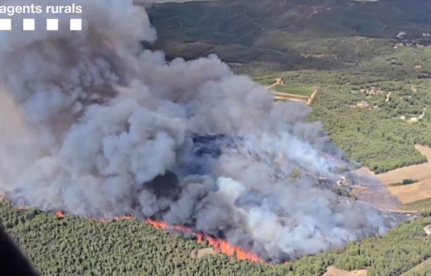 Incendi al Pla de Manlleu / Bombers de la Generalitat