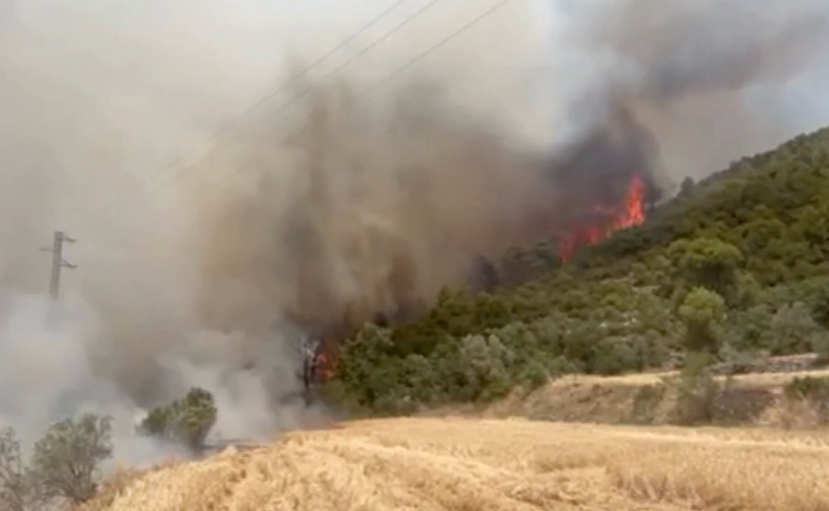 Els Bombers treballen en un incendi de vegetació agrícola i forestal a Sanaüja, a la Segarra
