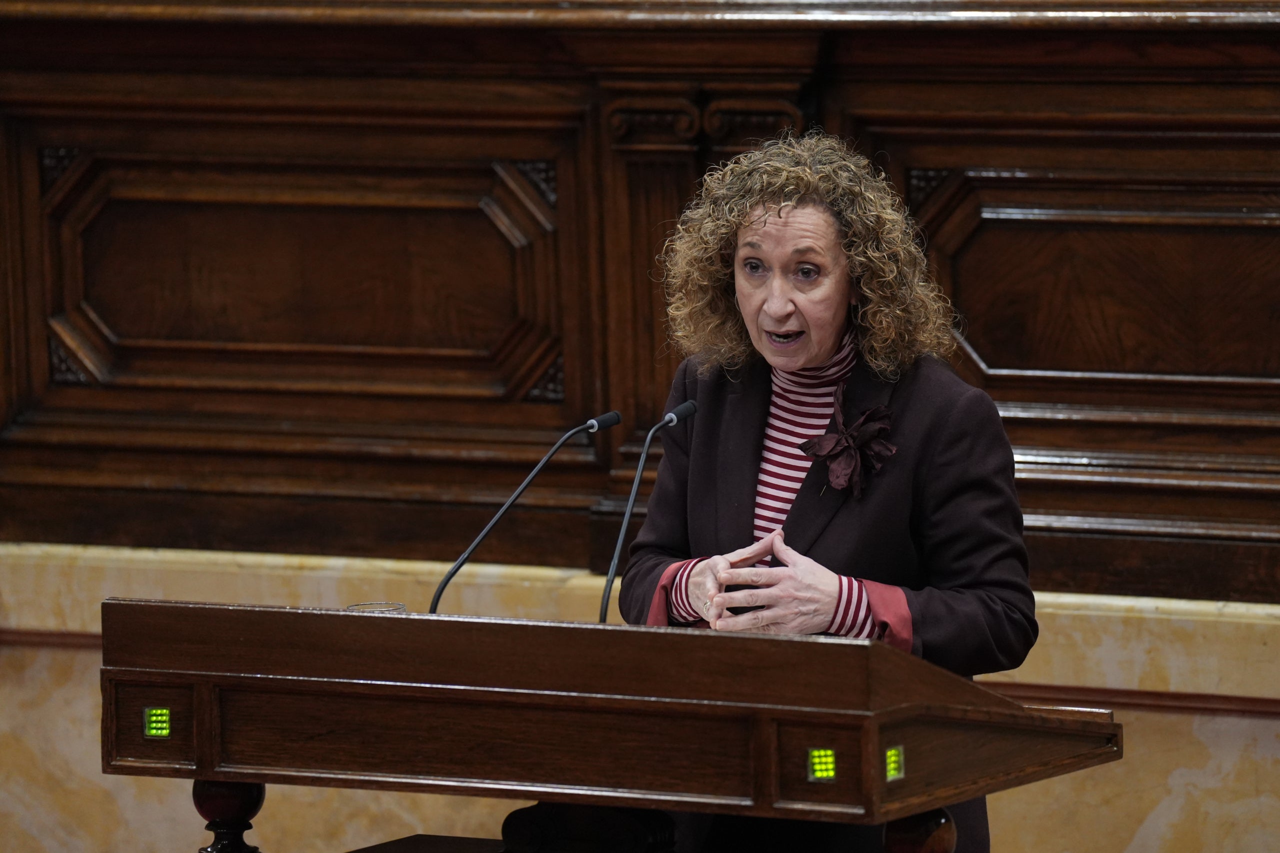 La portaveu d'ERC al Parlament, Ester Capella / Europa Press