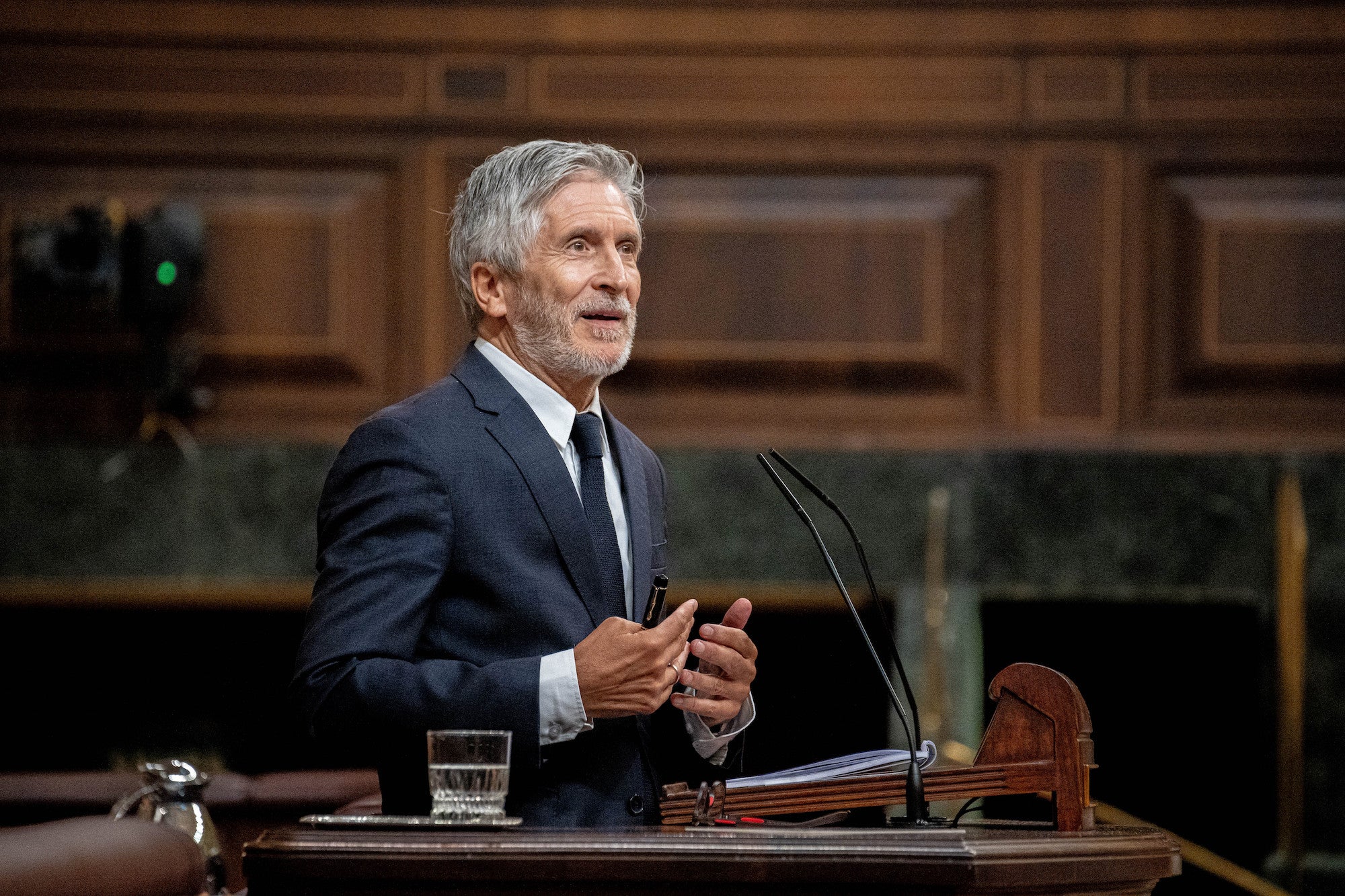 El ministre Fernando Grande-Marlaska,  a la sessió de control/ Gabriel Luengas / Europa Press
