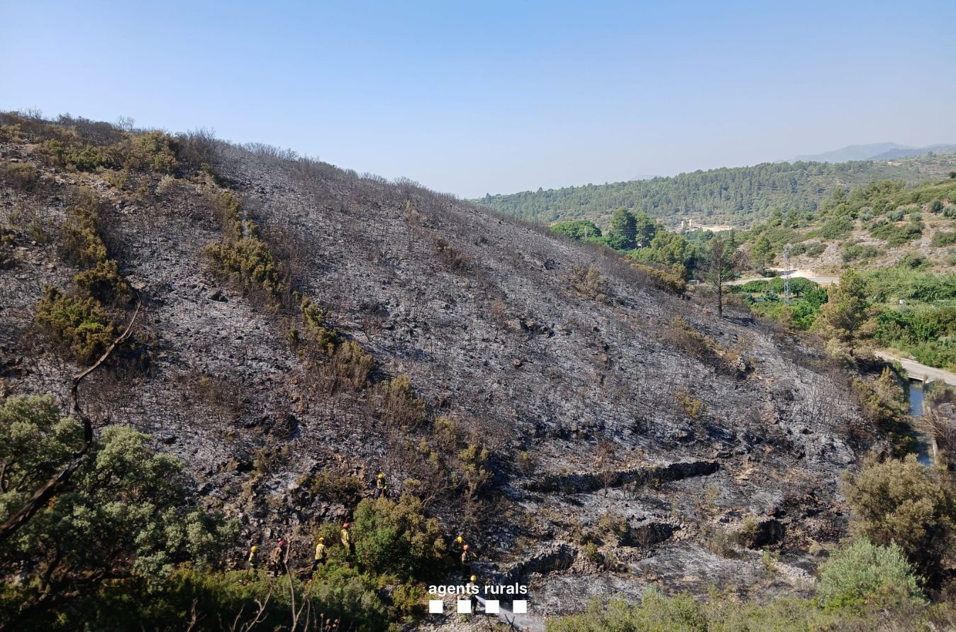 Efectes de l'incendi que afecta el municipi de Sant Quirze Safaja / Bombers
