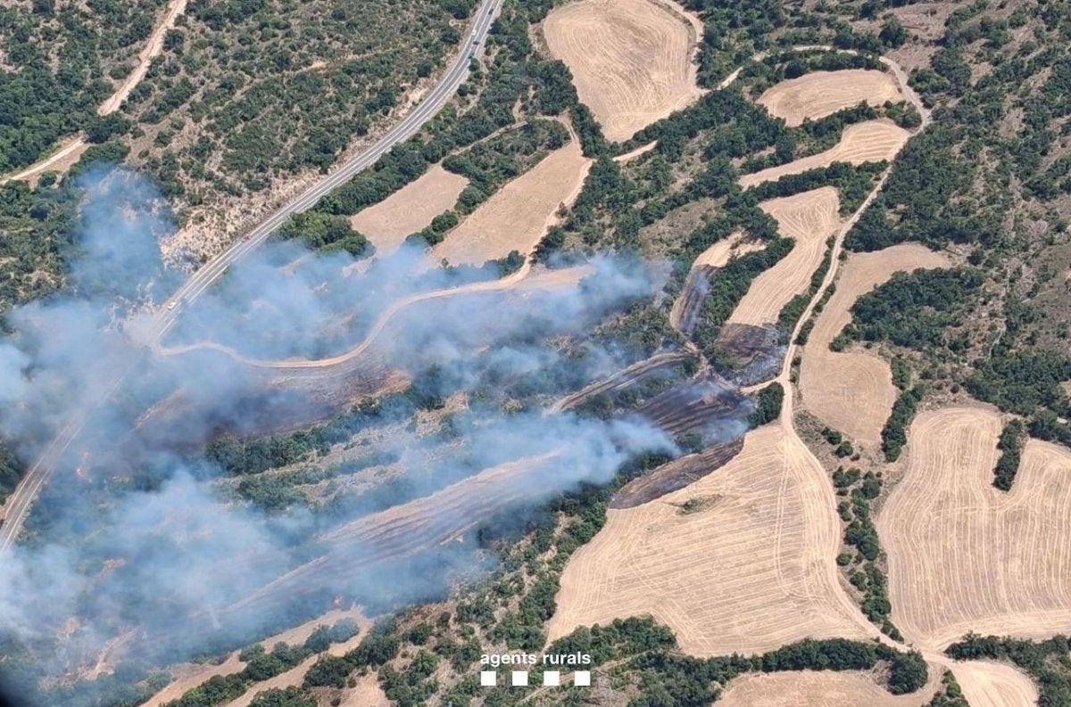El foc ha entrat a l'espai natural protegit de Montsec de Rubies / Bombers