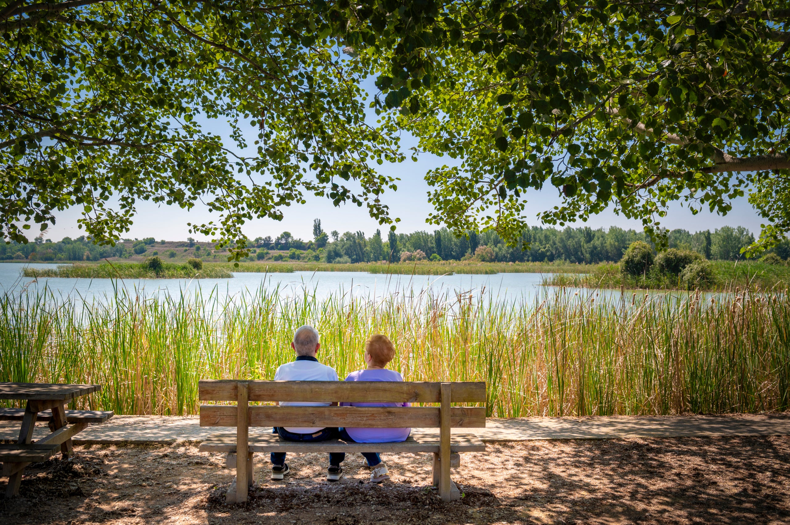 Estany d'Ivars i Vila-sana, al Pla de l'Urgell / Foto: Carles Fortuny / Patronat de Turisme de la Diputació de Lleida
