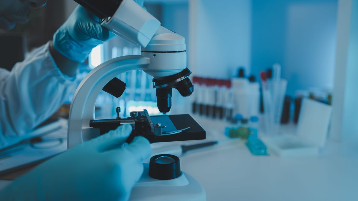 Treball en laboratori / Servimedia