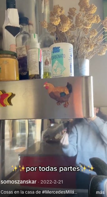 Les gallines, presents arreu de la casa de Mercedes Milá - TikTok