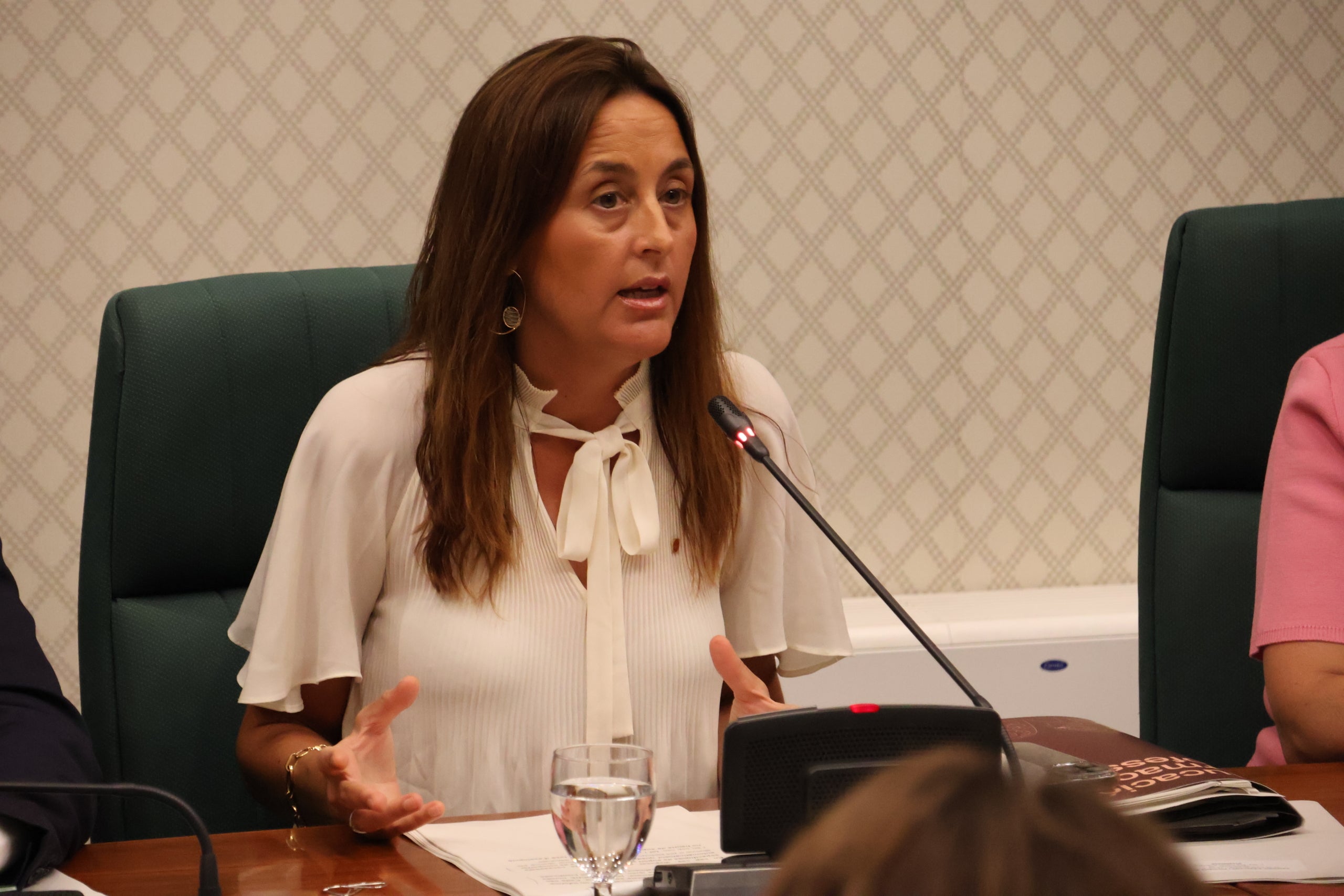 La consellera d'Educació, Esther Niubó, durant la compareixença per explicar al Parlament per què Catalunya queda fora de les proves PISA aquest any / Parlament de Catalunya