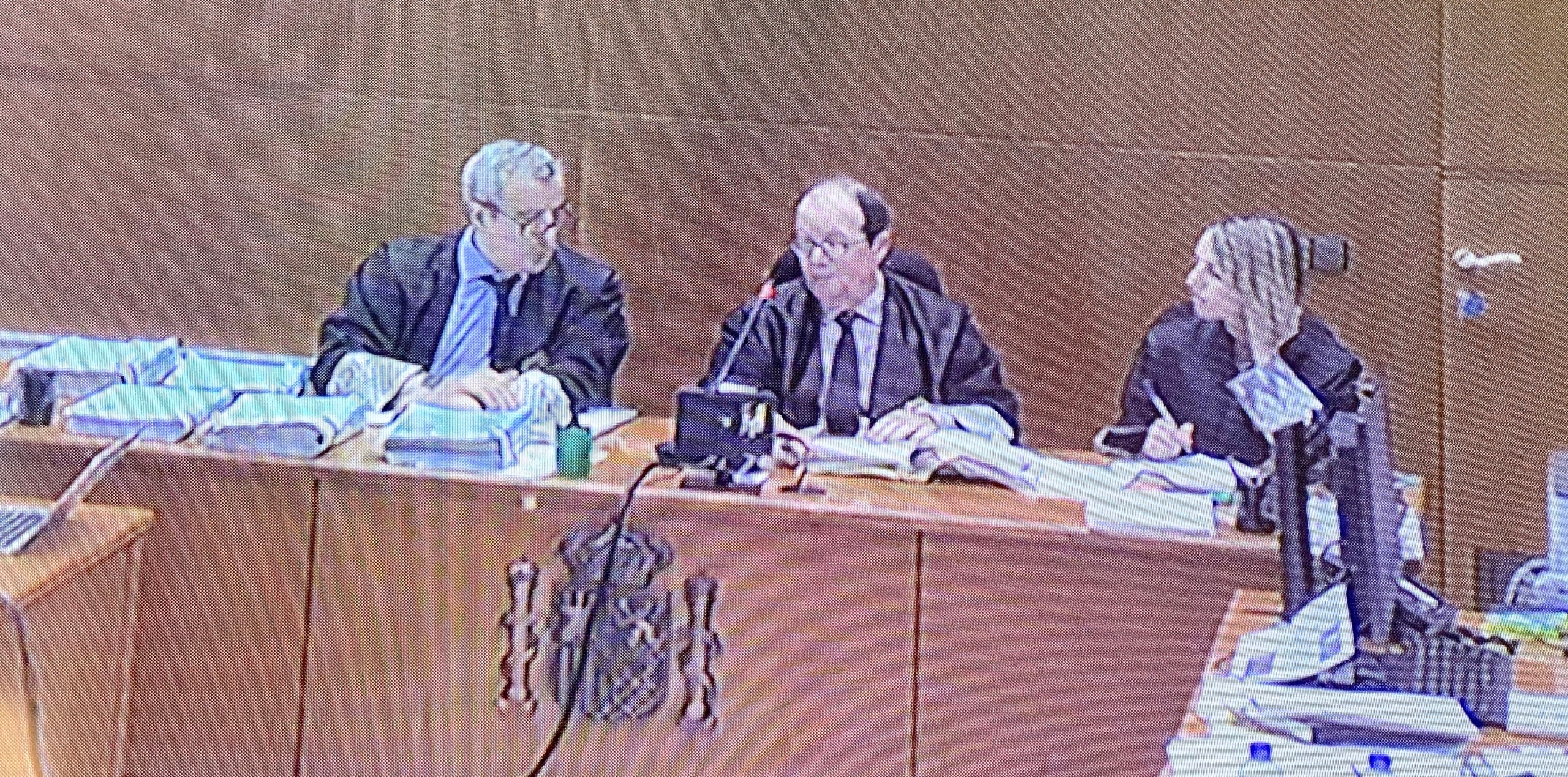 Els membres del Tribunal que jutgen Vergés i Argimon/QS