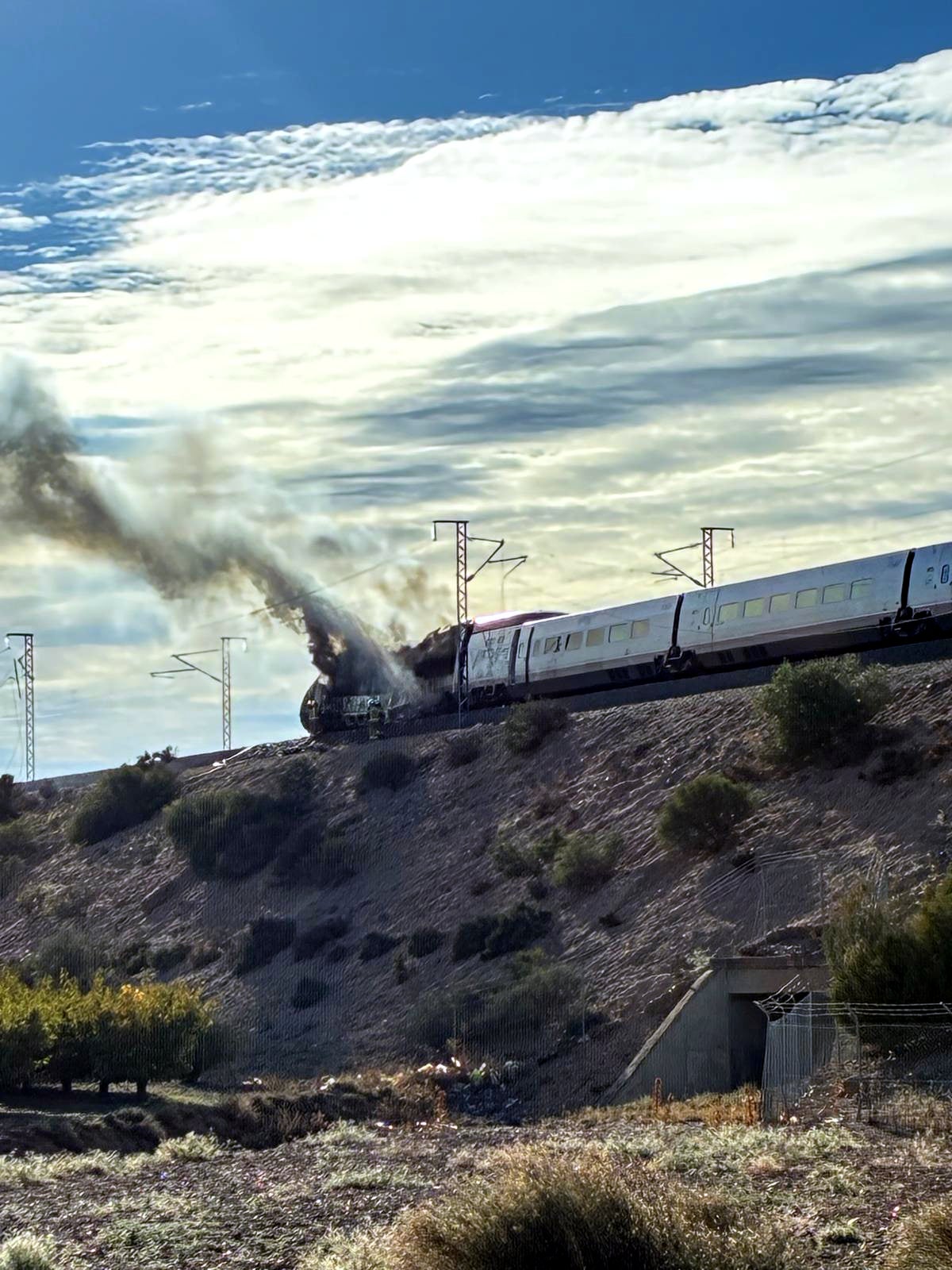 El tren AVE, incendiat a l'Aragó / Cedida a l'ACN per Natàlia Barberan