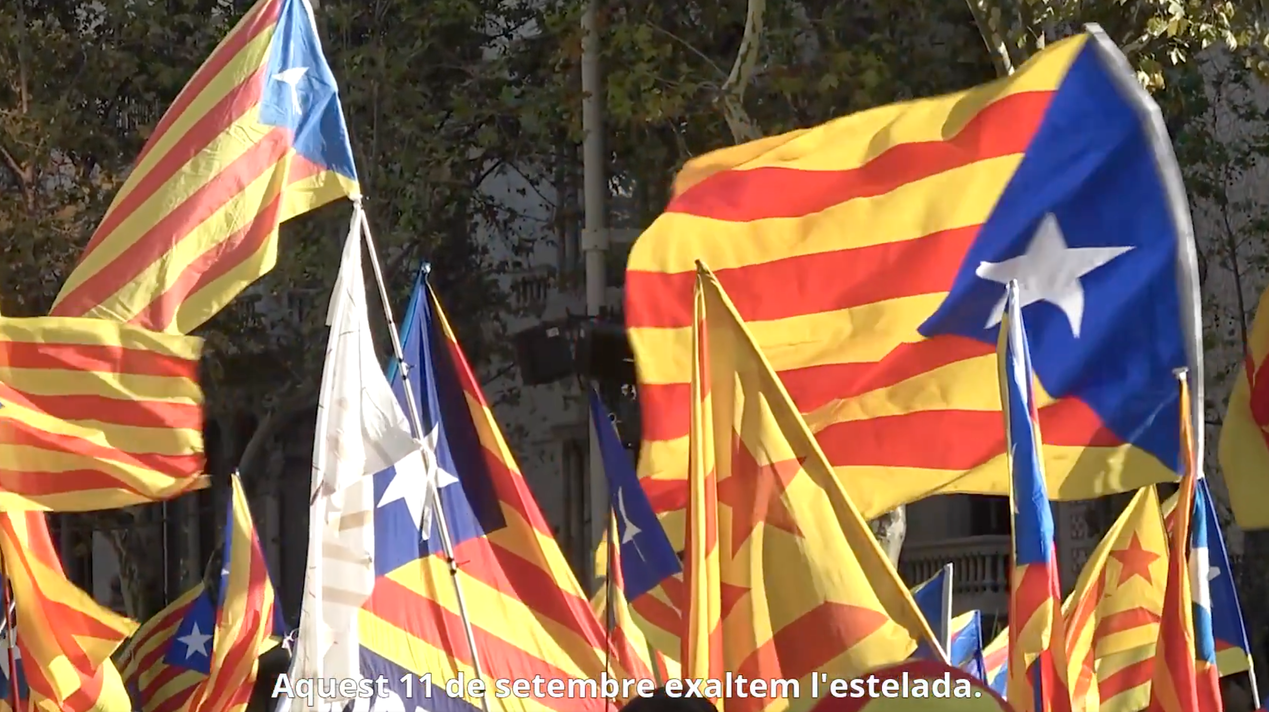 Un fragment de l'anunci promocional de l'ANC per la Diada
