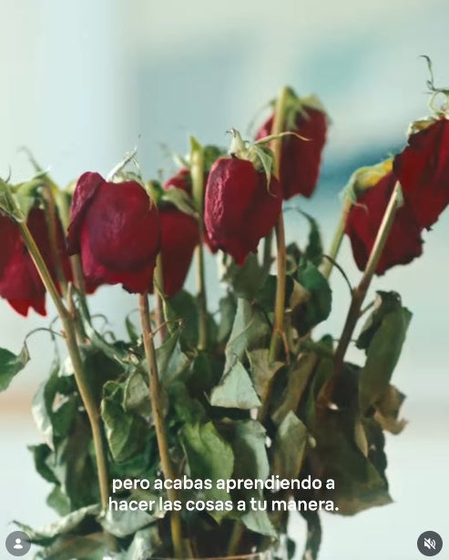 No és casualitat que hagi publicat una imatge d'unes roses pansides - Instagram