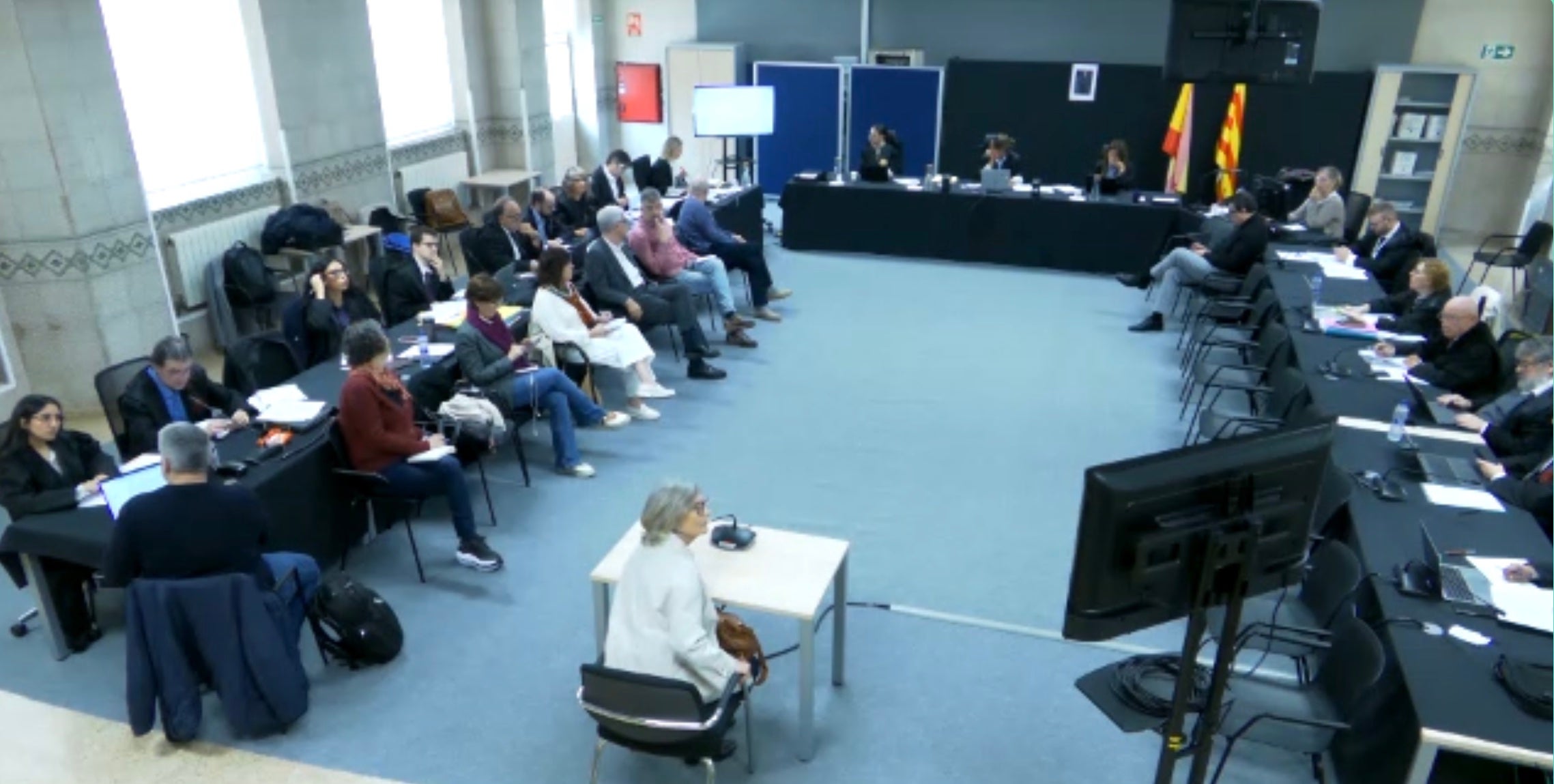 Una imatge de la testifical de la interventora de l'IMSST en el judici d'Inipro