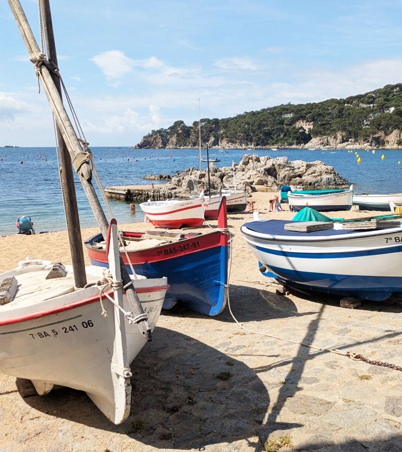 Barques velles varades a la sorra