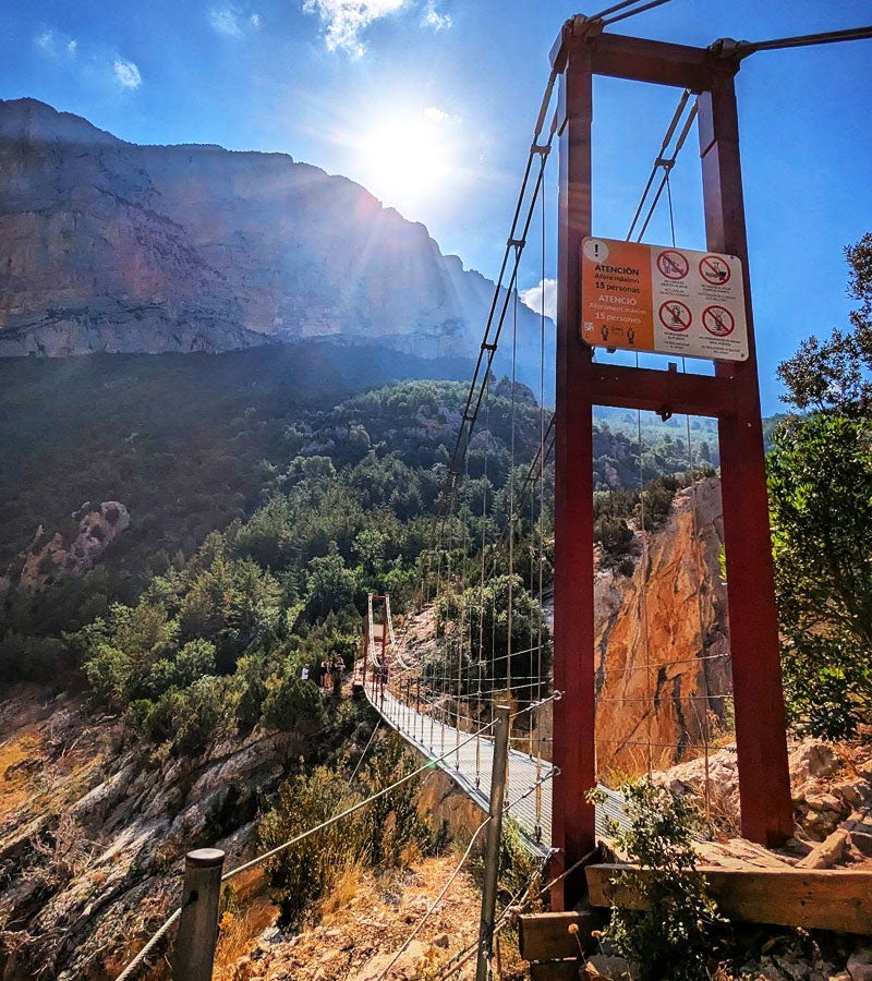 El pont penjant del Seguer