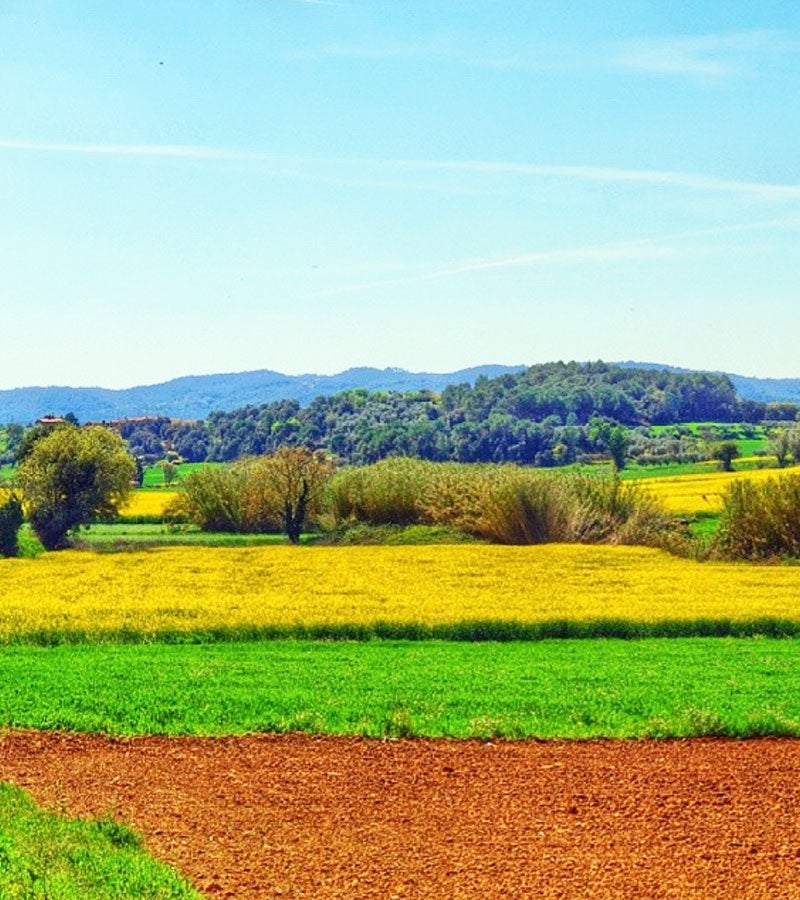 Campos y bosques de las Gavarres