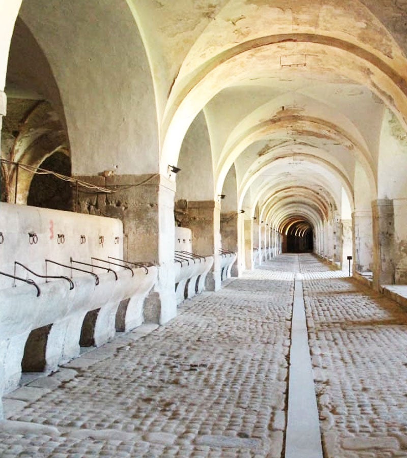 Interior del Castell de Sant Ferran
