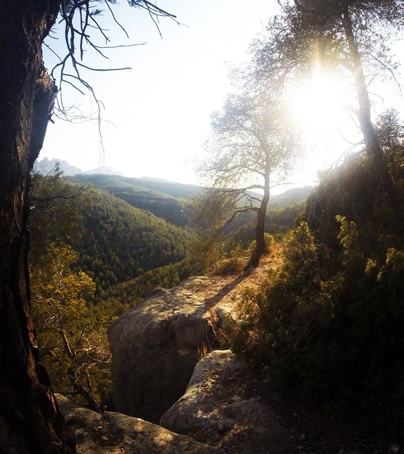 Paisatge al Torrent dels Abadals