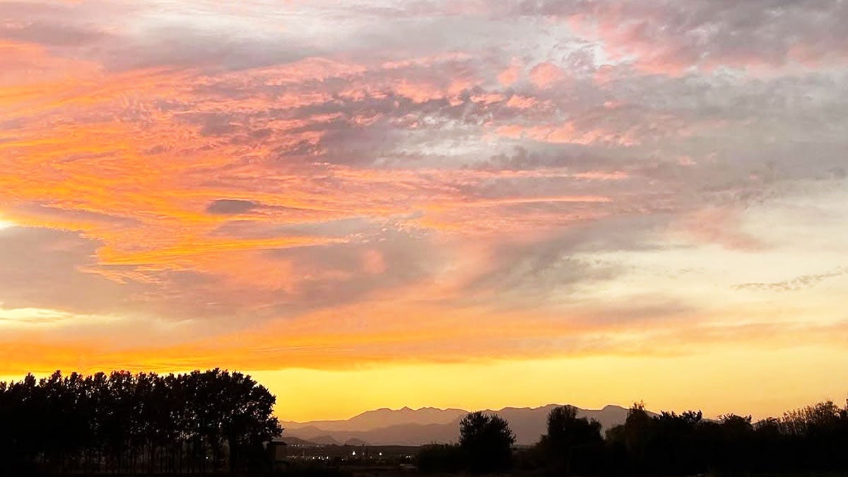 Paisatge des de Vilabertran