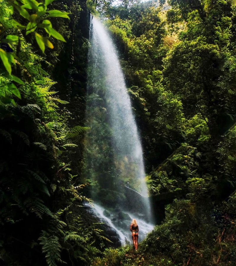 Cascada al Bosc de Los Tilos