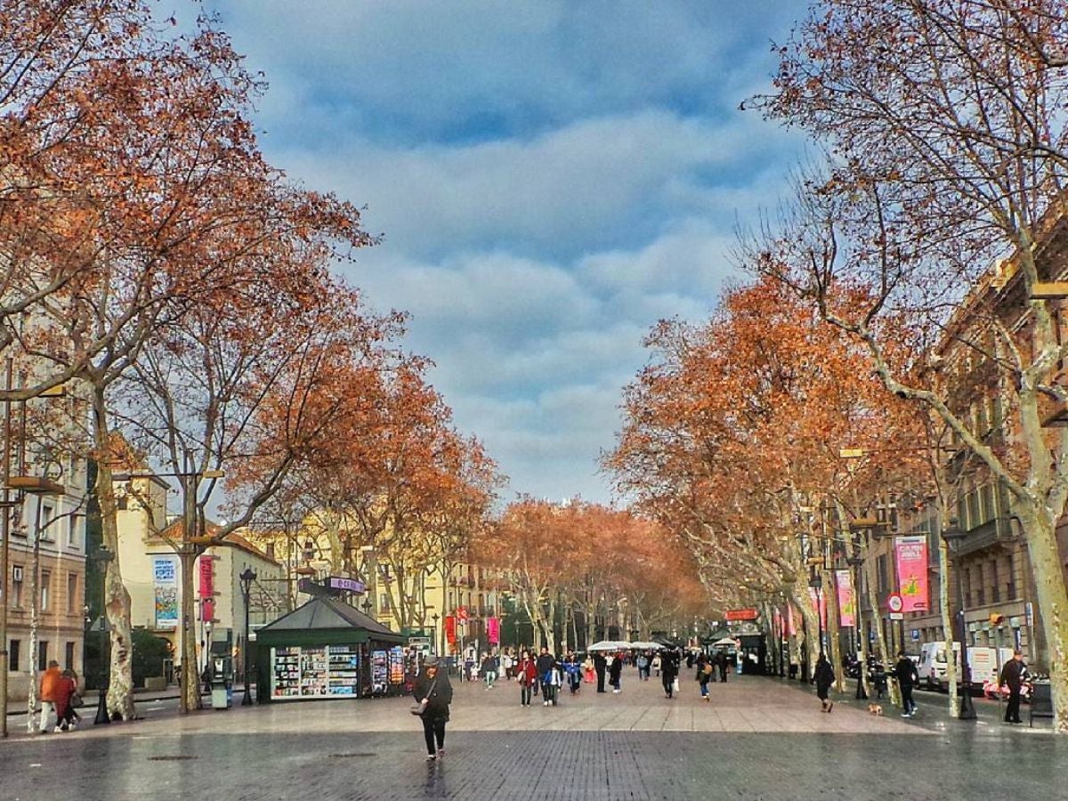 Rambla de Santa Mónica