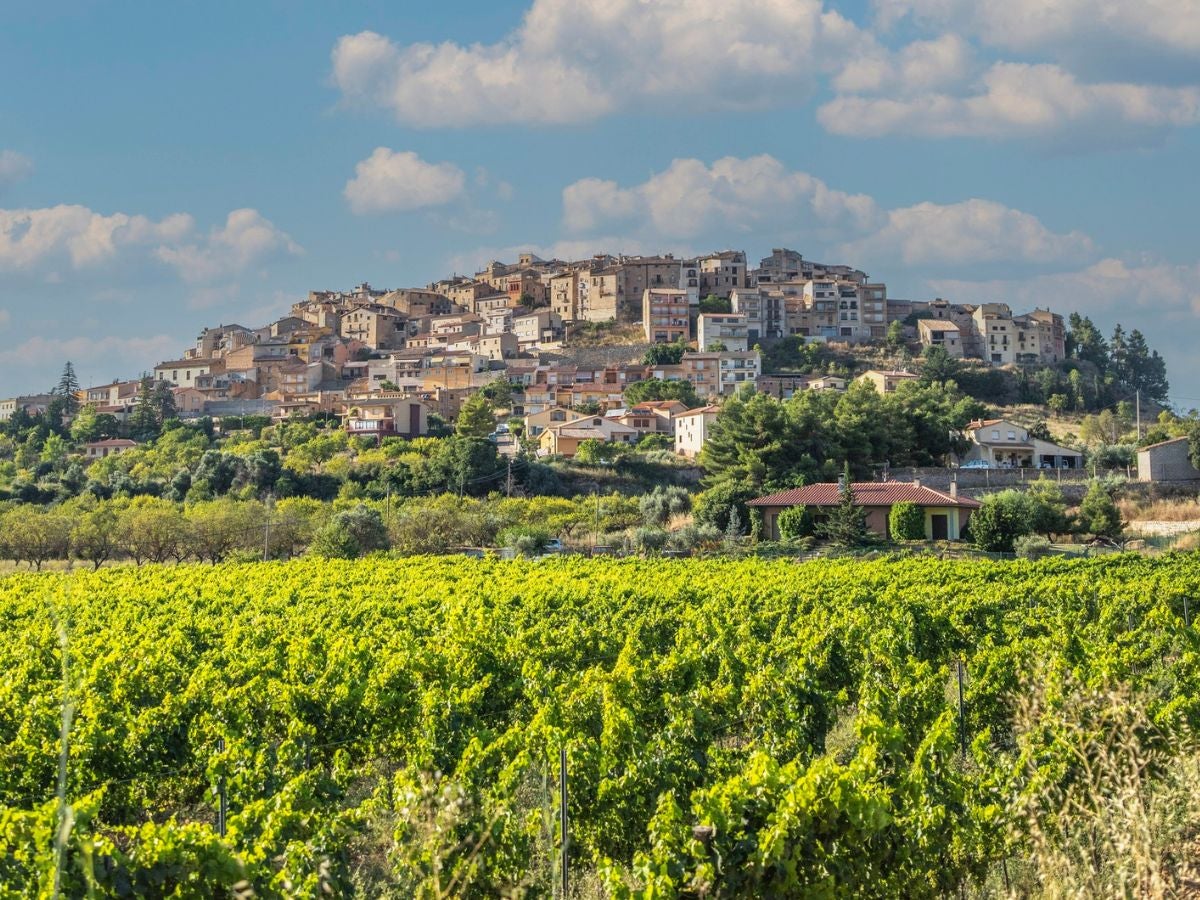 Terra Alta, cellers modernistes i pobles amb ànima al sud de Catalunya