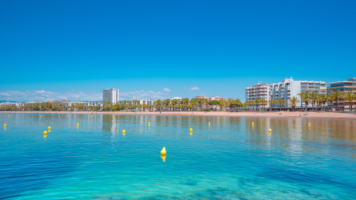 platja de Barcelona on el teu gos es pot banyar legalment i sense agobis aquest estiu