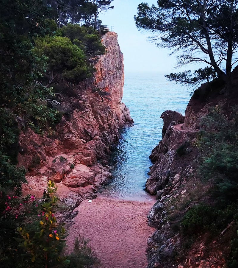 Cala canyet