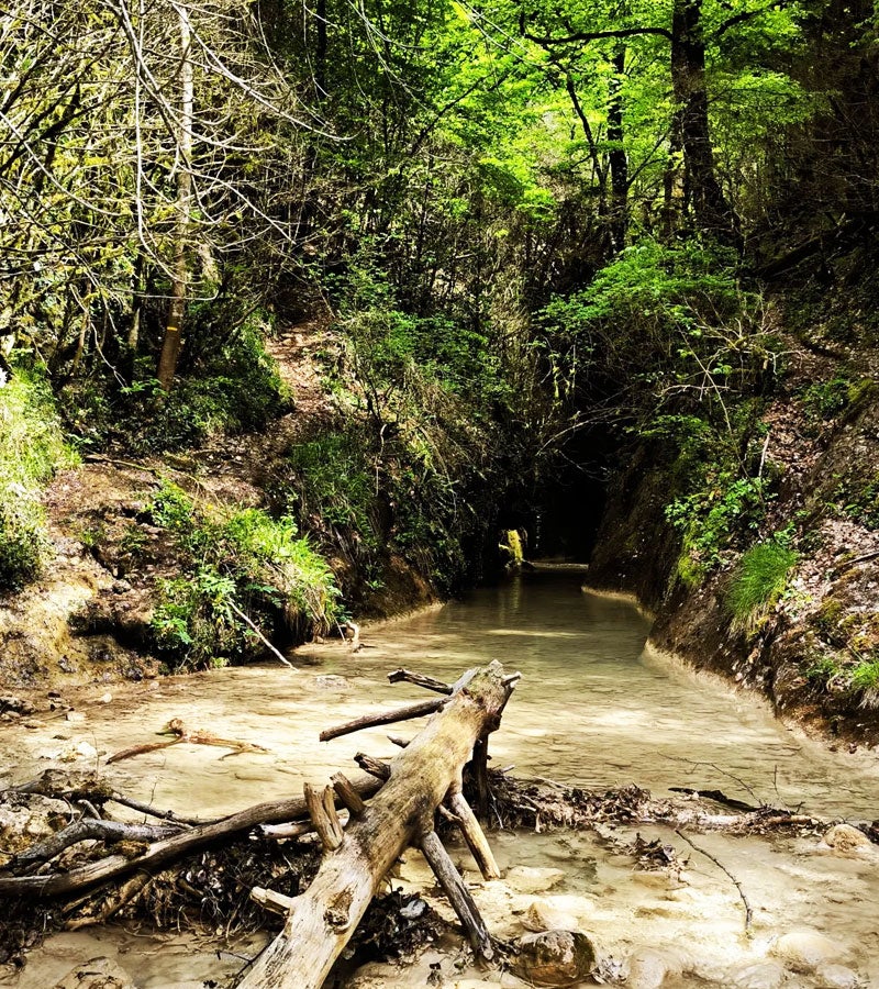 Ruta al Pont de Cabradís