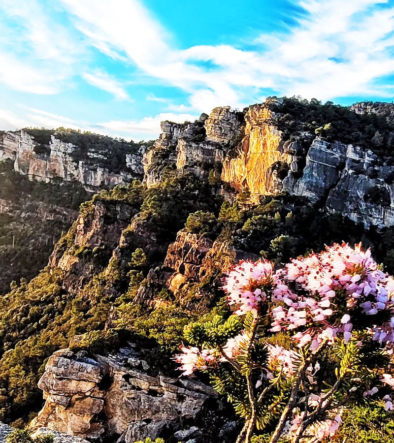 Serra de la Mussara