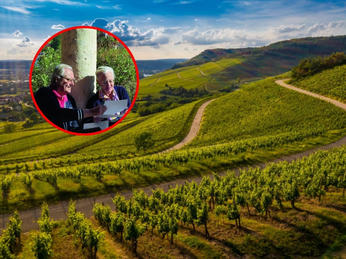 En el corazón del suroeste francés, entre colinas verdes y el curso sinuoso del río Lot, se alza un château medieval que guarda secretos de realeza y de vino.
