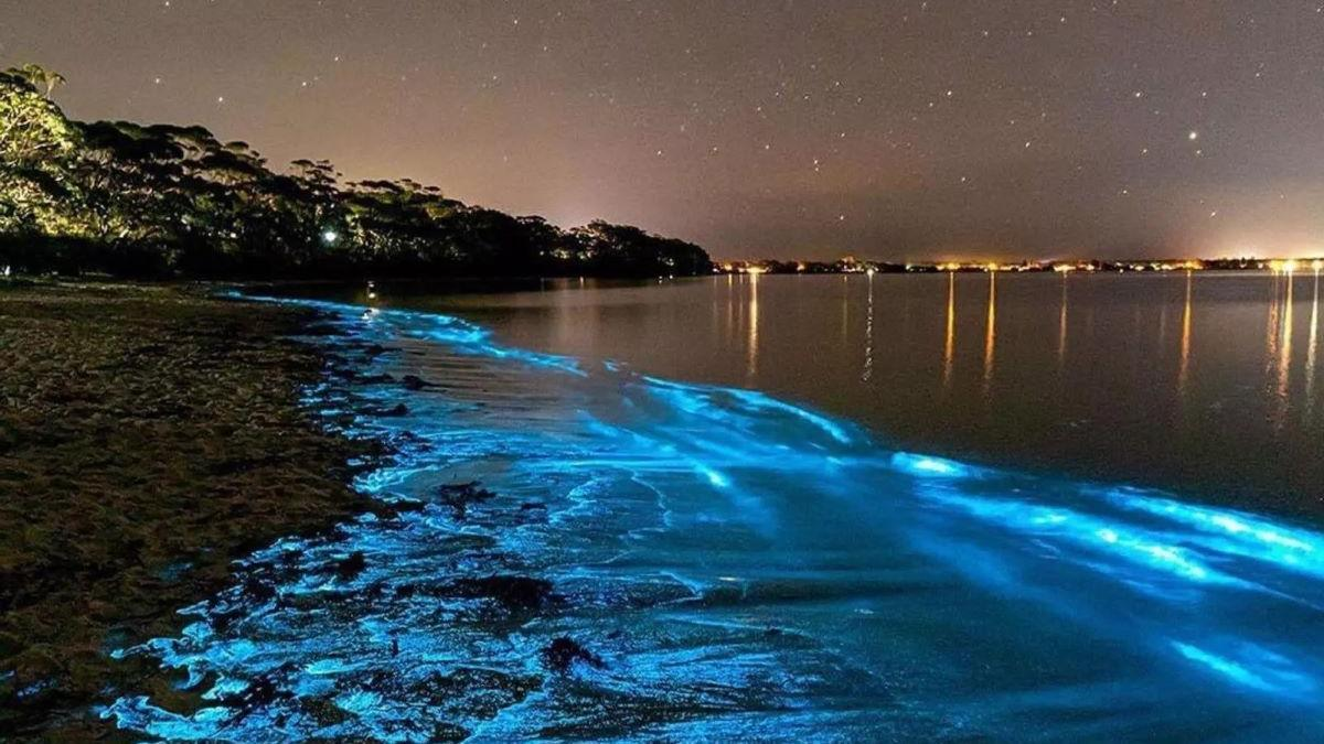 Descobreix on veure la bioluminescència a Espanya i per què és el pla definitiu.