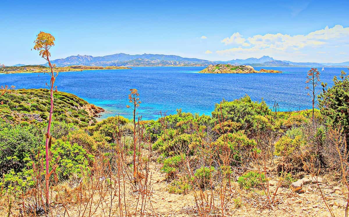 Cala Coticcio