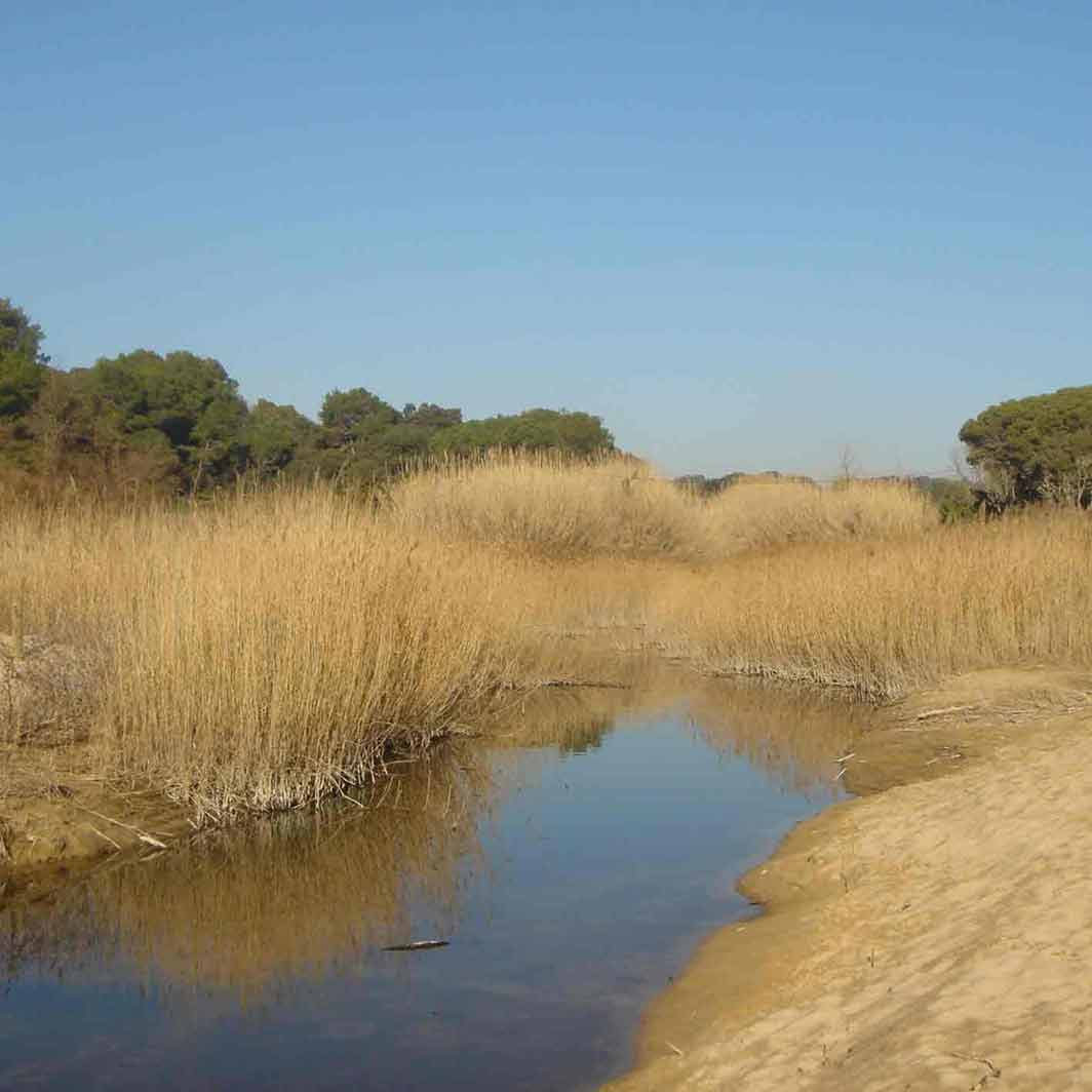 Platja de Castell