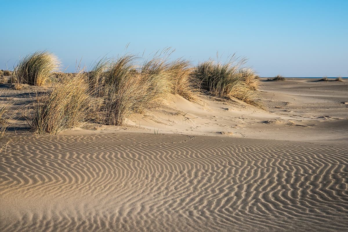 Plage de l'Espiguette