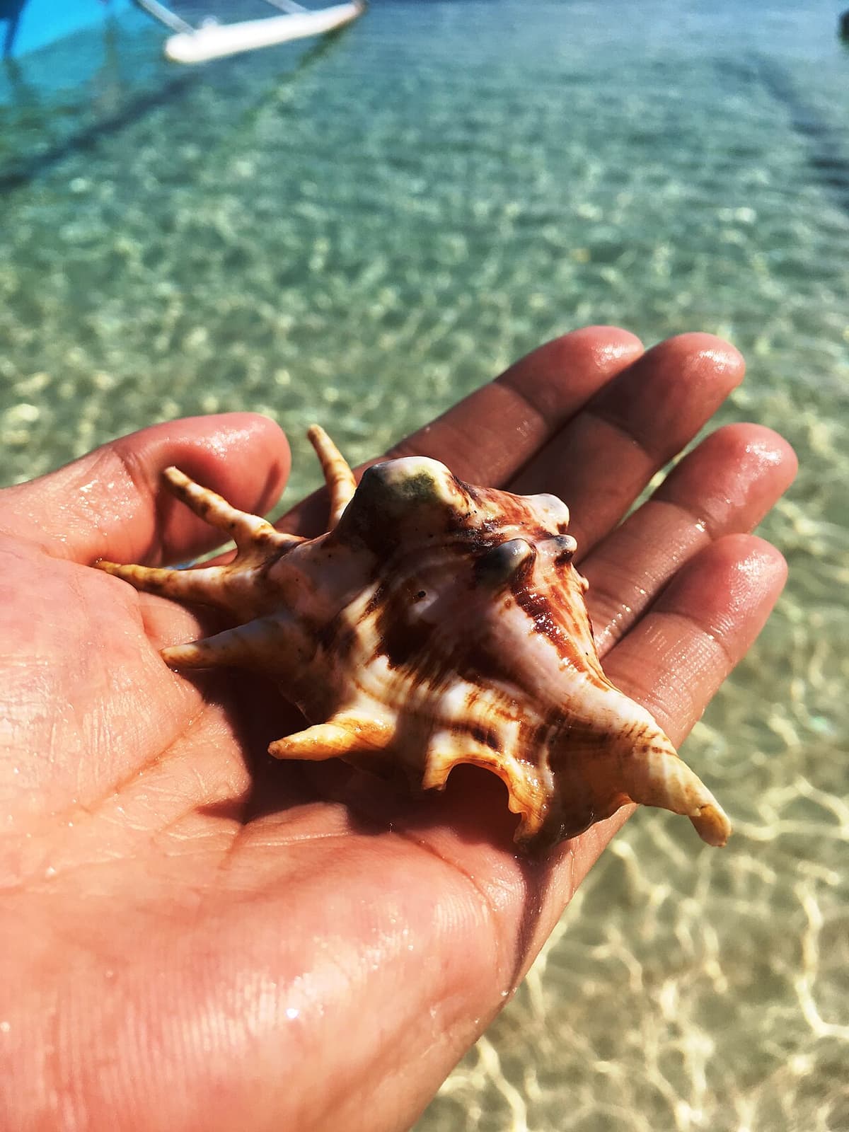 Daku Island
