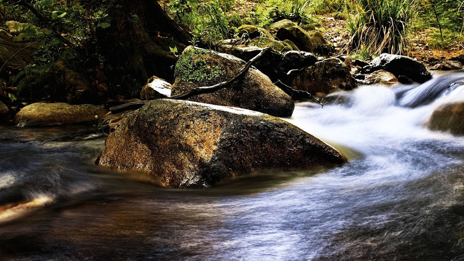 Reserva de la Biosfera Montseny