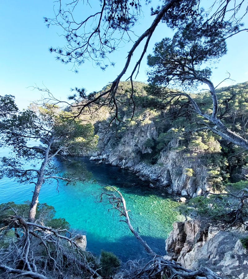 Cala Pedrosa