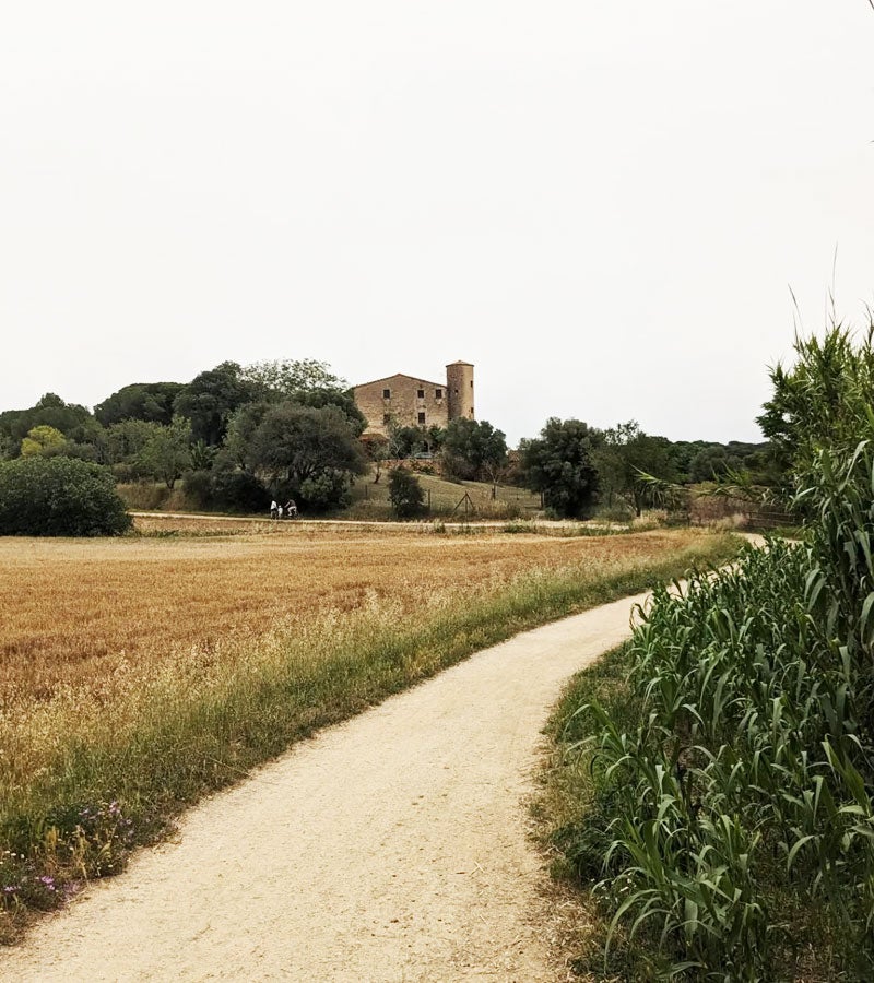 Paisaje suave y ondulado Empordà