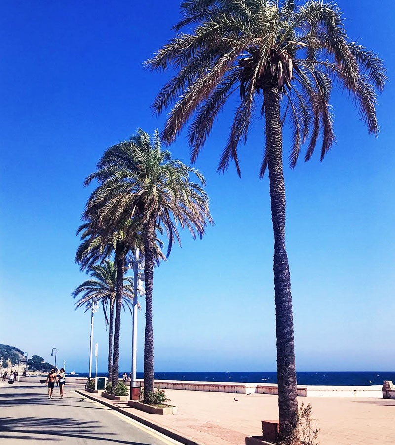 Passeig Marítim de Sant Pol de Mar