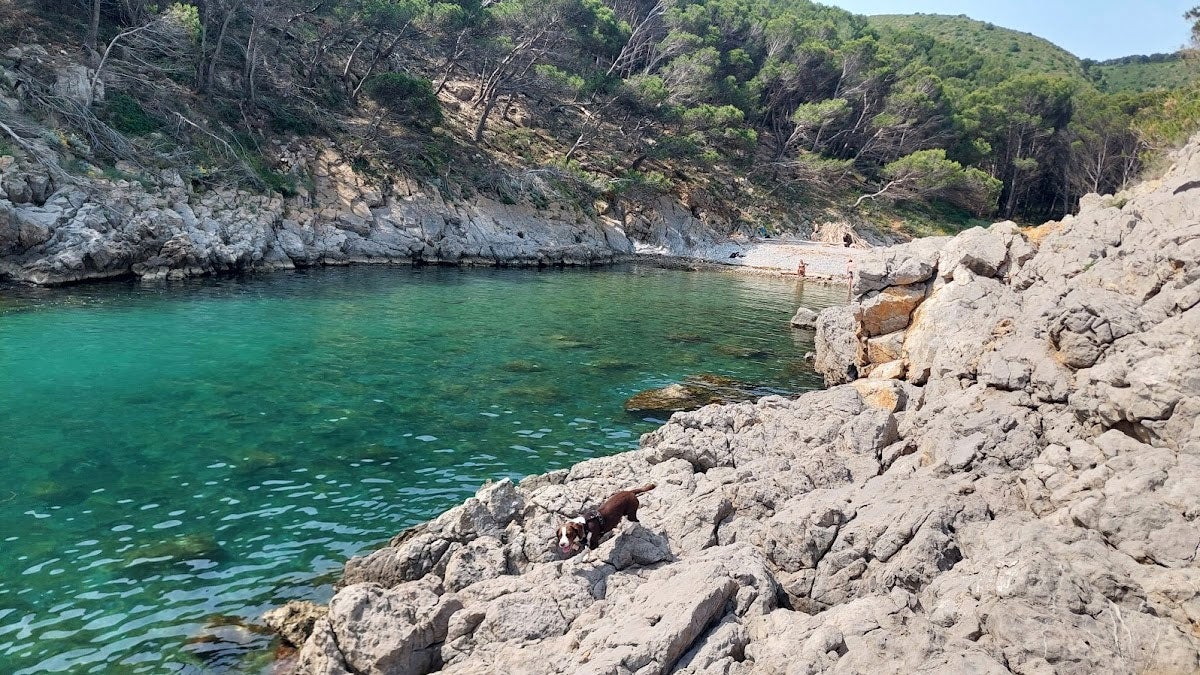 Vista de la Cala Ferriol