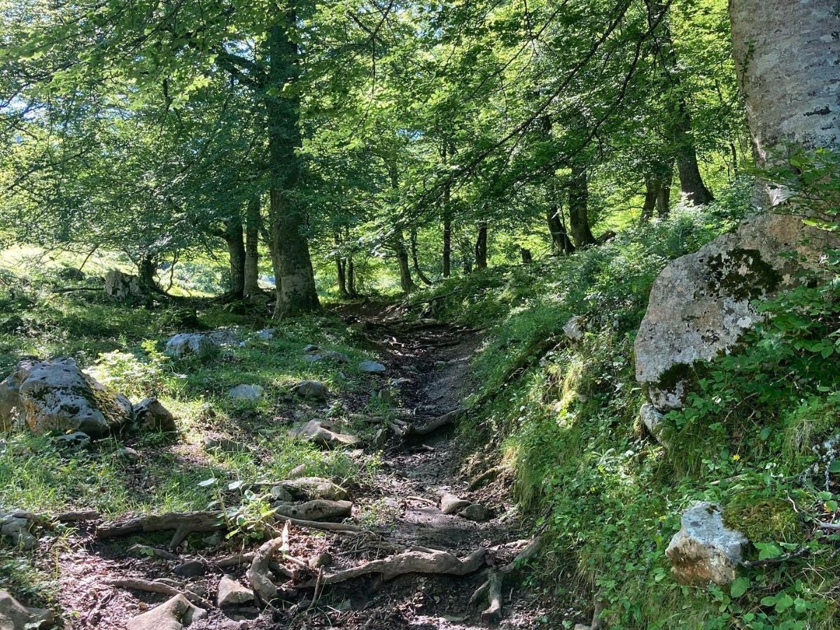 Braña de los Tejos