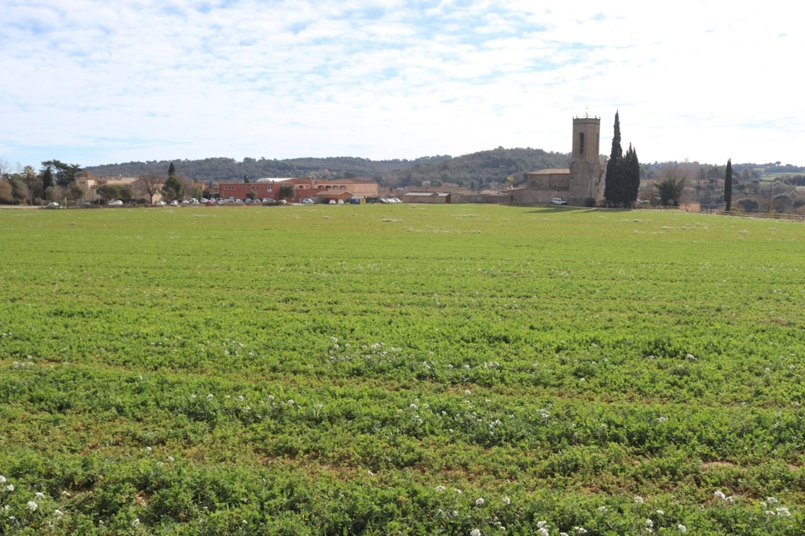 Un cultiu gironí participant al programa europeu AgroForAdapt / ACN