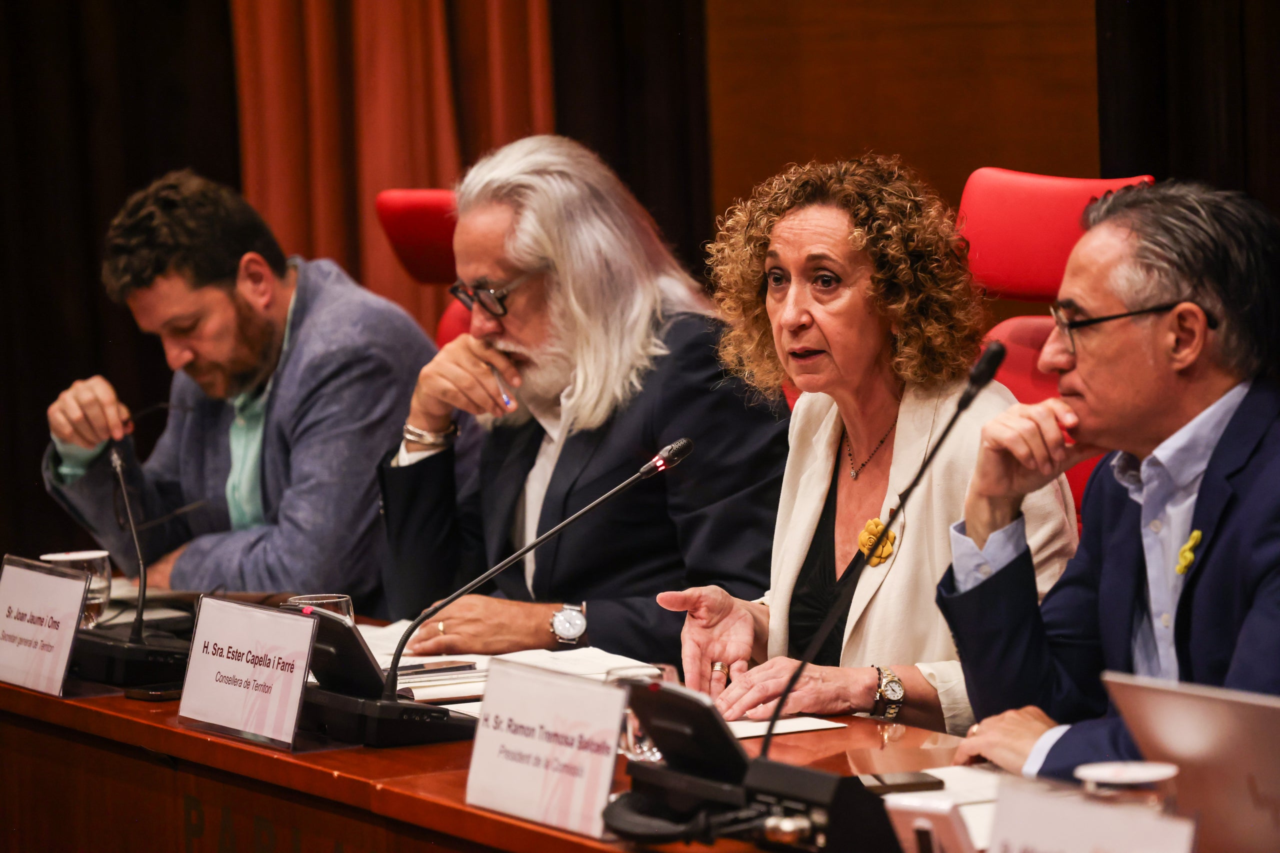 Imatge de la consellera de Territori, Ester Capella, durant una intervenció al Parlament / Departament de Territori