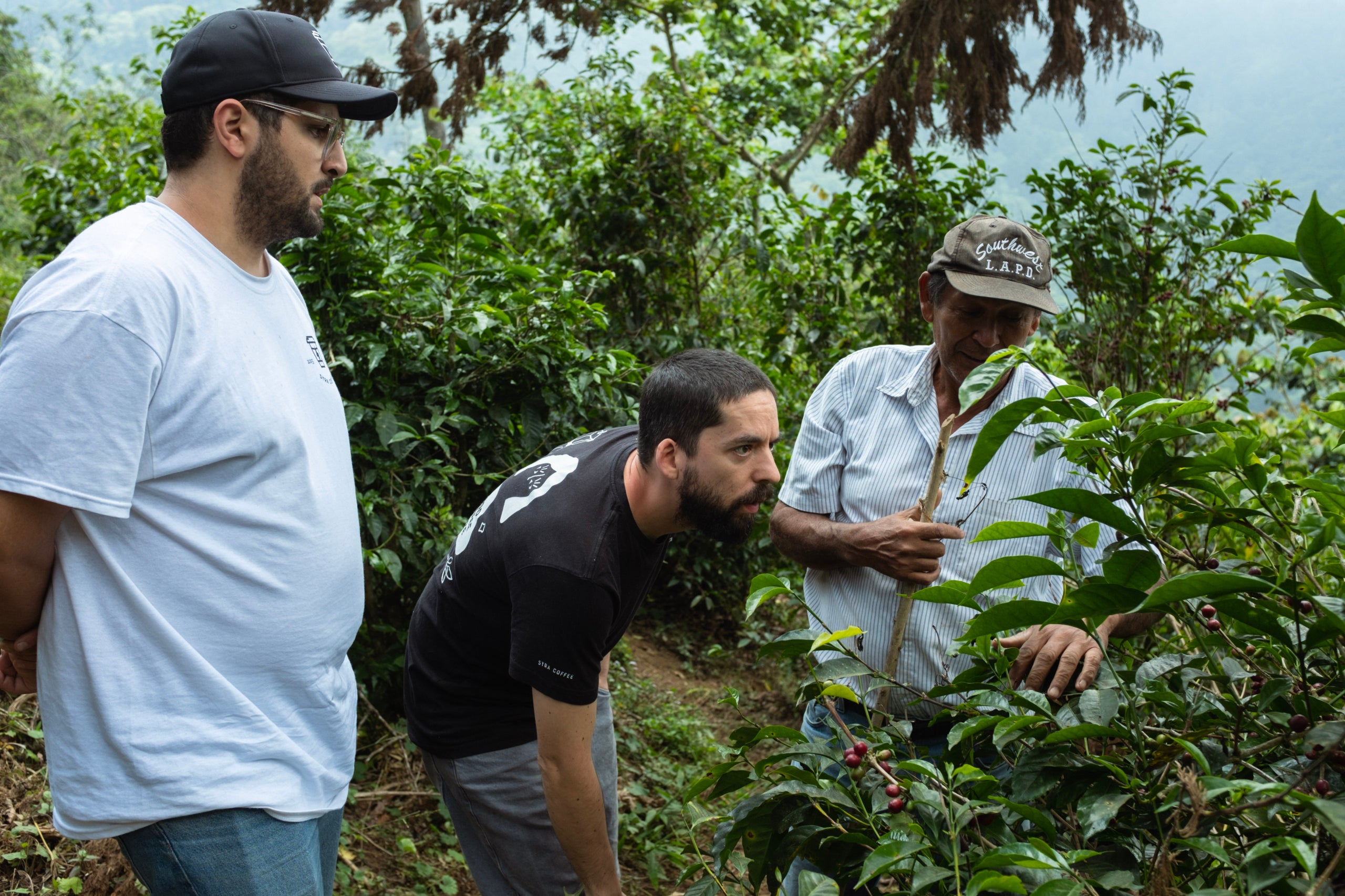 El CEO de Syra, Yassir Rais / Syra Coffee