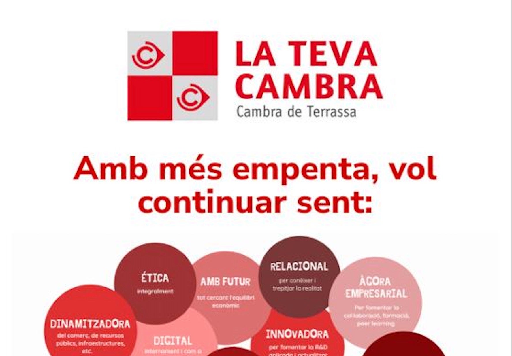 Una de les captures de pantalla aportades per Eines, on s'observa el logotip de la Cambra de Terrassa al lloc web de la candidatura 'La Teva Cambra' / Eines de País Terrassa