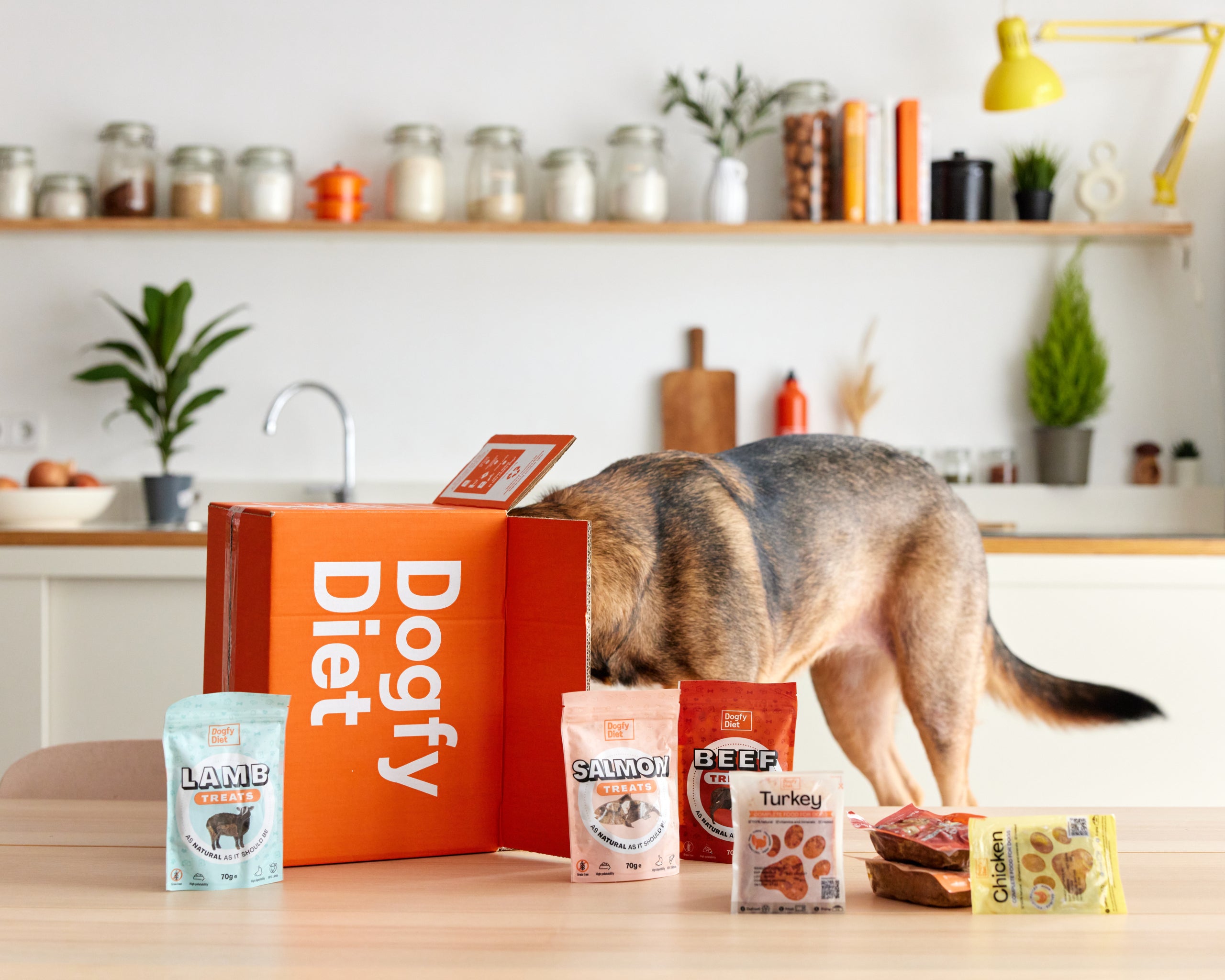 Dogfy Diet, la reeixida solució catalana per al 